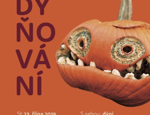 Dýňování 2019